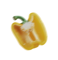 Paprika zuta