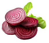 cvekla