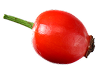 Šipak