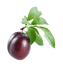 pecena paprika