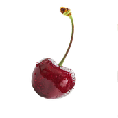 Visnje