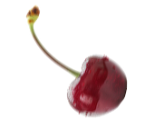 Visnje