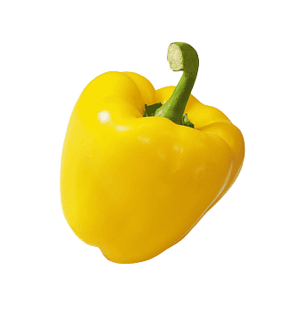 Paprika